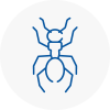 Ant Removals In Acton