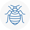 Bed Bug Extermination In Acton