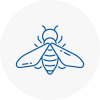 Bee Nest Removal Acton