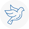 Bird Prevention Acton