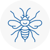 Acton Hornet Nest Removals
