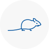 Mice Exterminators In Acton