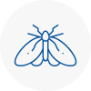 Moth Control Specialists In Acton