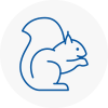 Acton Rodent Removals