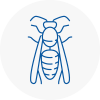 Acton Wasp Nest Removal